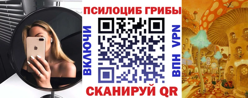 OMG онион  продажа наркотиков  Монино  Галлюциногенные грибы мицелий 