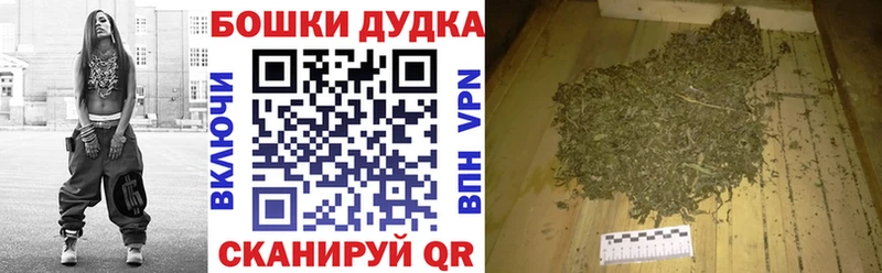 Канабис сатива Монино